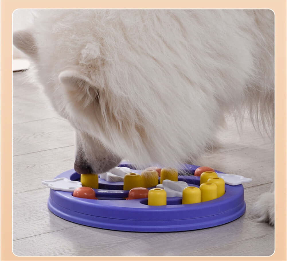Feeding Device For Pet Educational Toys