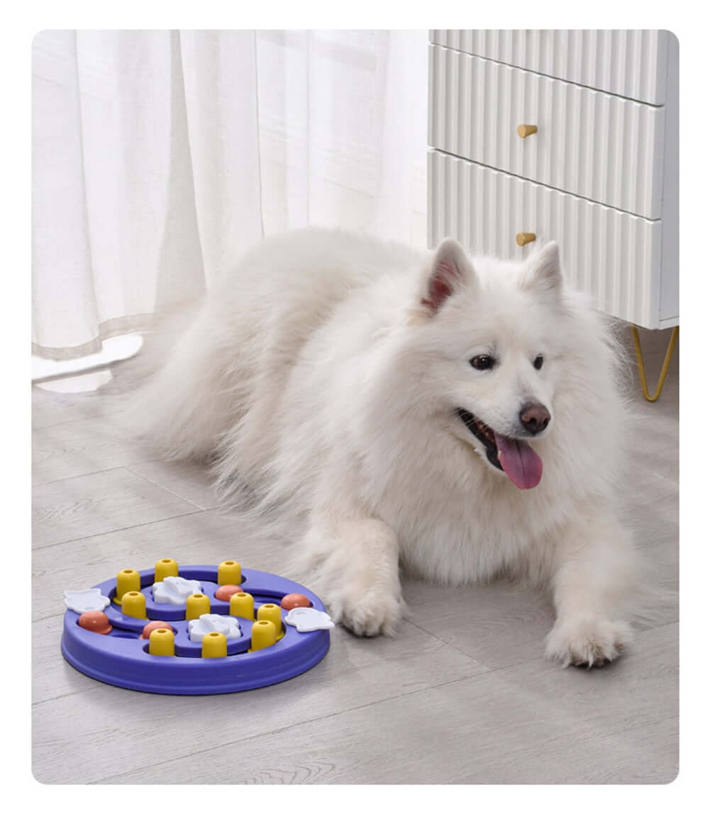 Feeding Device For Pet Educational Toys