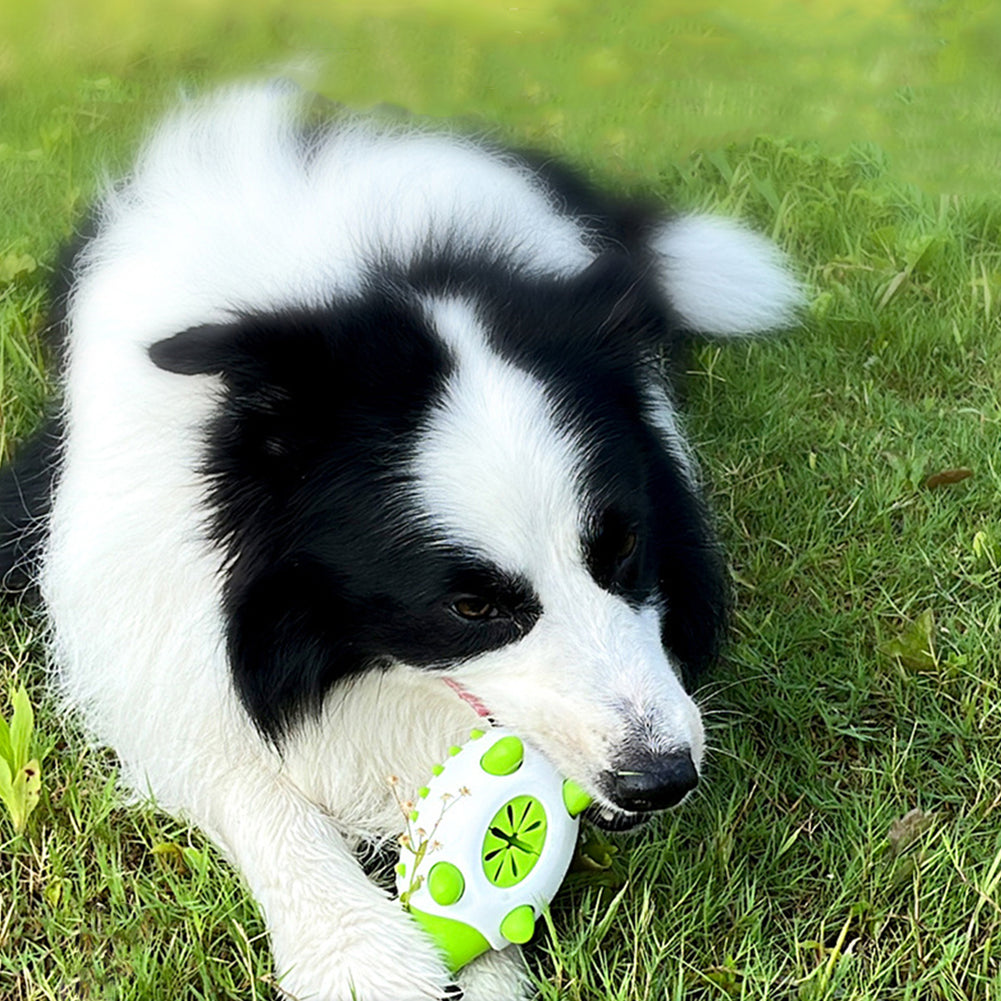 Hedgehog Treat Dispensing Dog Toy