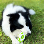 Hedgehog Treat Dispensing Dog Toy