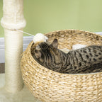 Elevated Cat Bed with Sisal Scratching Post