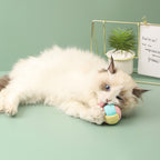 Handmade Wool Cat Play Ball