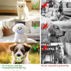 Puppy Teething Toy & Pet Pacifier Set