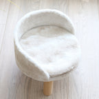 Elevated Kitten Sofa Bed