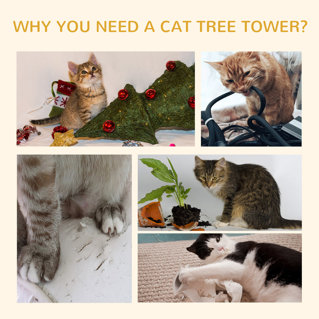 Adjustable Cat Tree with Hammock