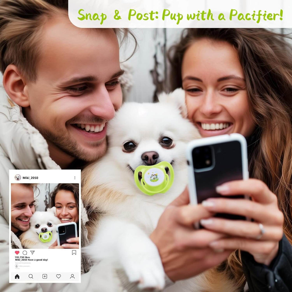 Puppy Teething Toy & Pet Pacifier Set