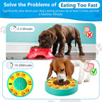 Interactive Slow Feeder Puzzle Bowl
