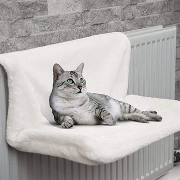 Iron Frame Cat Hammock Bed