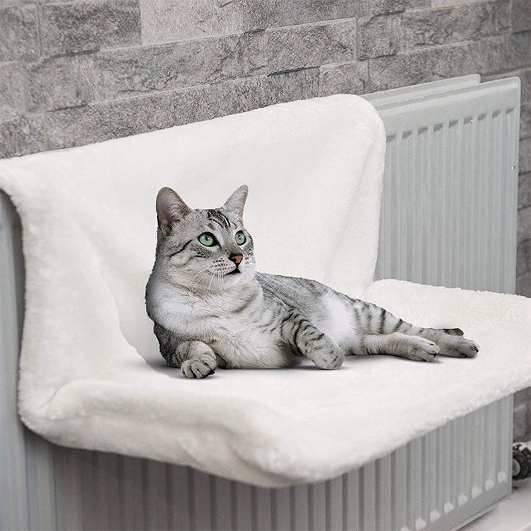 Iron Frame Cat Hammock Bed
