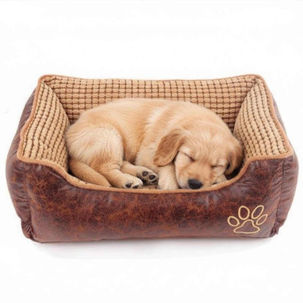 Sleeping puppy in a brown pet bed with a paw print design on a white background