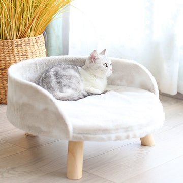 Elevated Kitten Sofa Bed