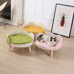 Elevated Kitten Sofa Bed